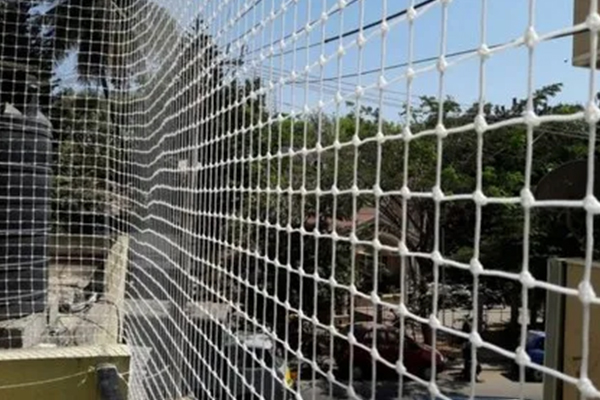 Bird Net Installation